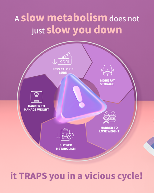 Zenso Kuro Kosen (SG)